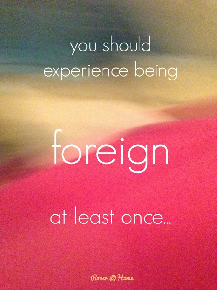 c2e08693c7a8c6619a66e0a07ee79241